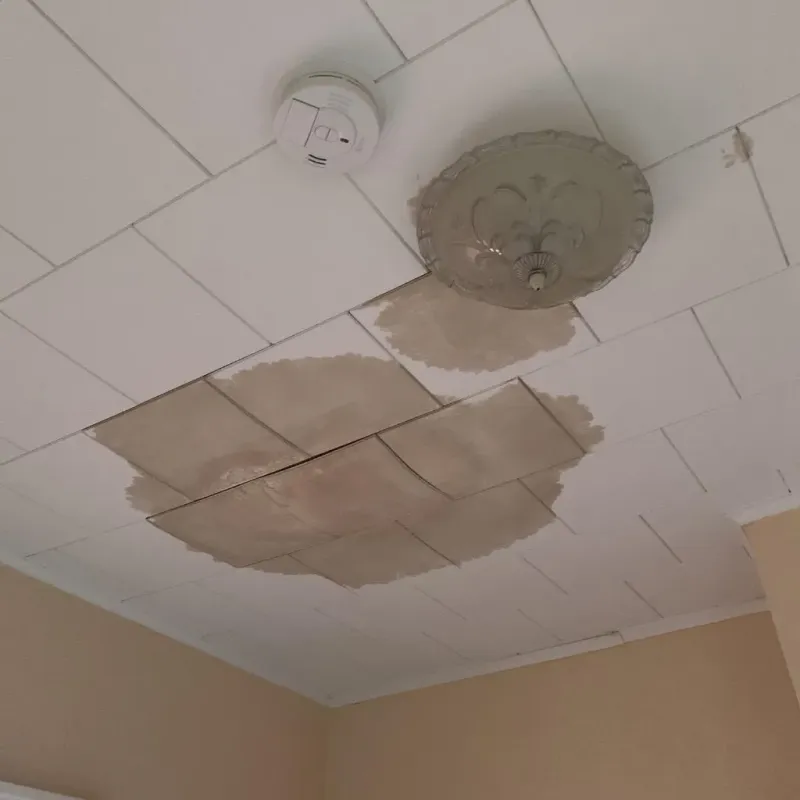 Ceiling Water Damage Repair in Yorkshire, VA