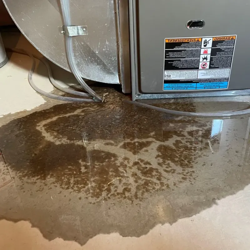 Pipe Burst and Leak Restoration in Yorkshire, VA